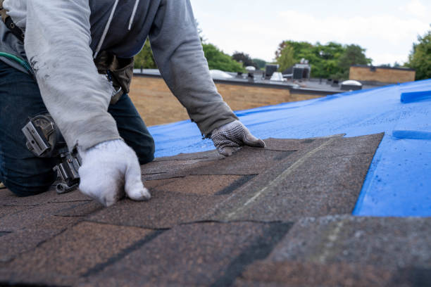 Quick and Trustworthy Emergency Roof Repair Services in Bellevue, PA